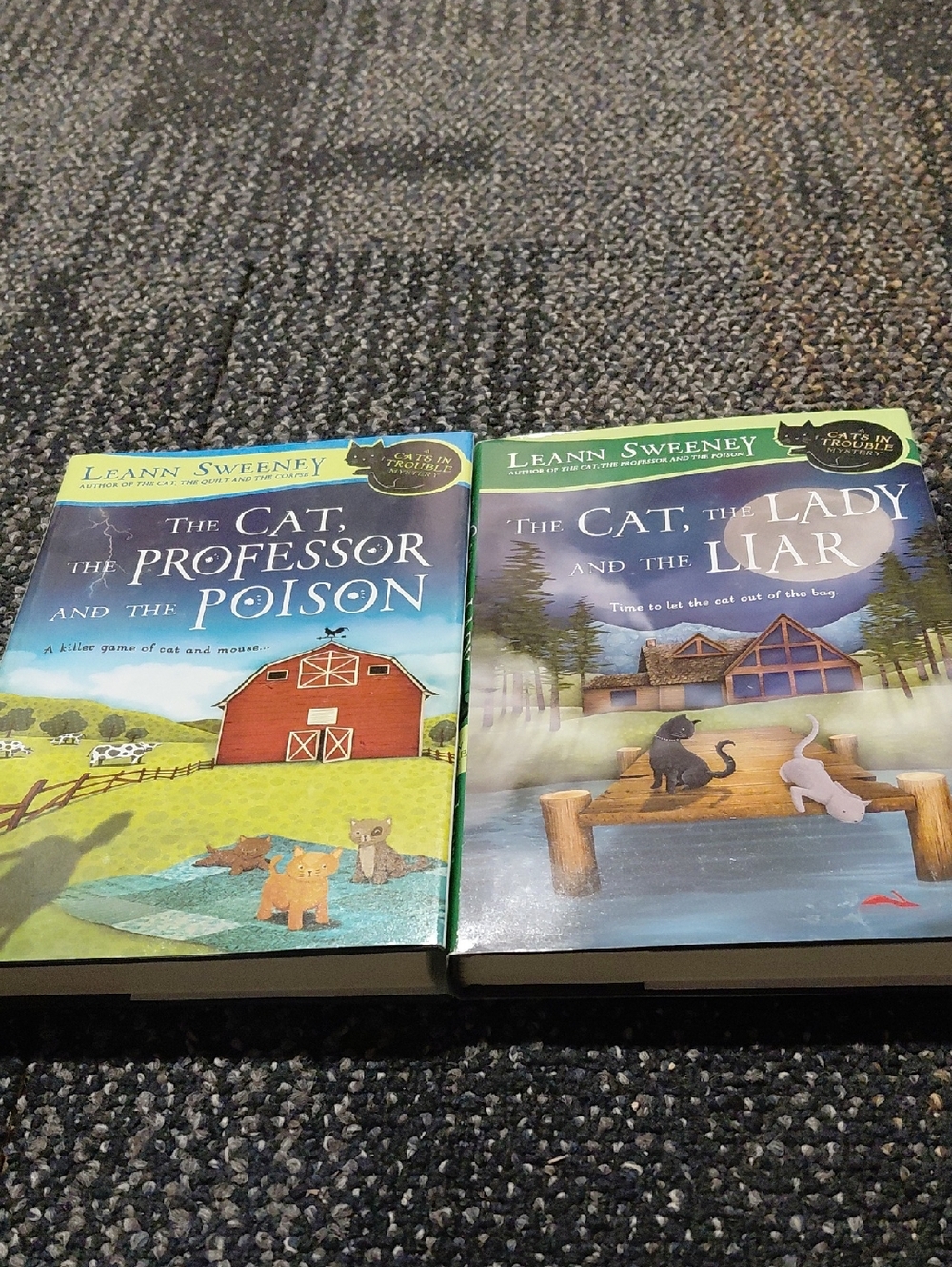 Leann Sweeny A cat's in trouble mystery